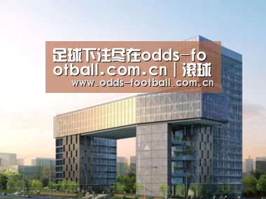 案例展示四(图1) 案例展示四(图1)