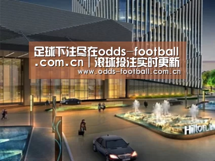 案例展示二(图1) 案例展示二(图1)