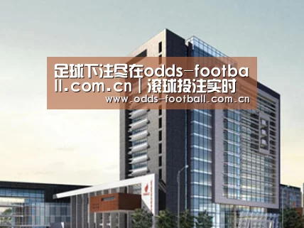 案例展示七(图1)