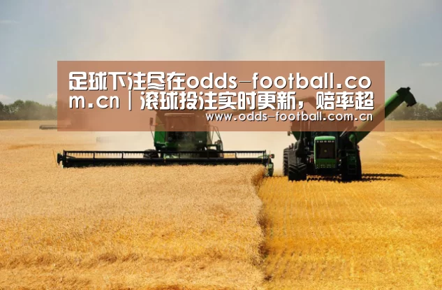 产品名称八(图1)