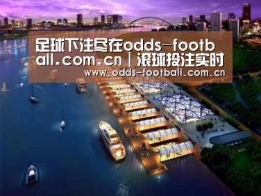 案例展示八