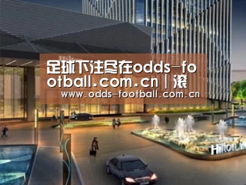 案例展示二