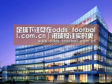 案例展示五