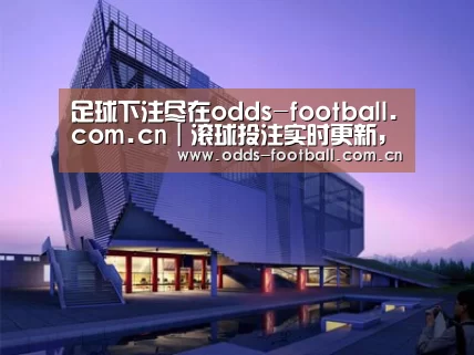 案例展示六