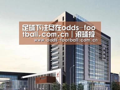 案例展示七