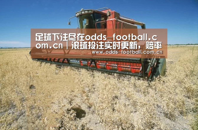 产品名称三