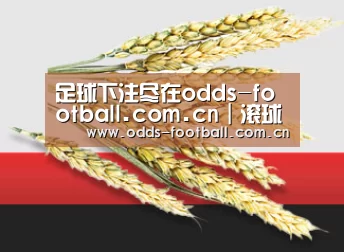 足球下注尽在odds-football.com.cn｜滚球投注实时更新，赔率超值