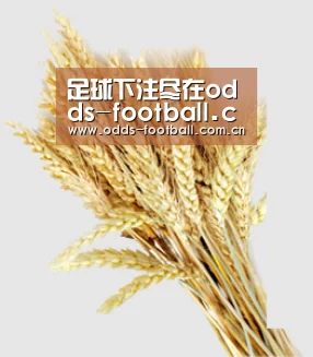 足球下注尽在odds-football.com.cn｜滚球投注实时更新，赔率超值