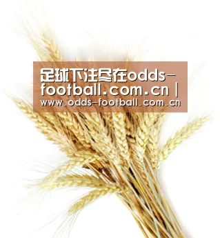 足球下注尽在odds-football.com.cn｜滚球投注实时更新，赔率超值