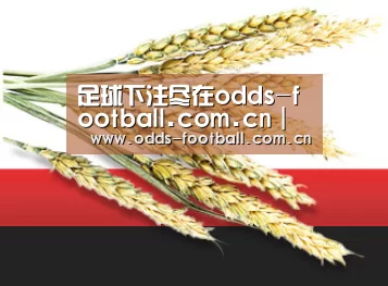 足球下注尽在odds-football.com.cn｜滚球投注实时更新，赔率超值